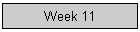 Week 11