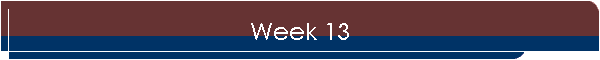 Week 13