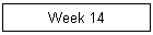 Week 14