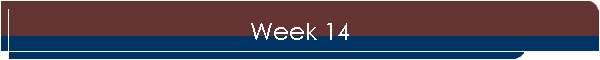 Week 14