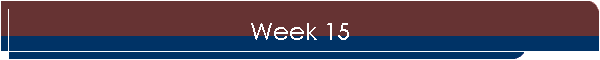 Week 15