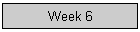 Week 6
