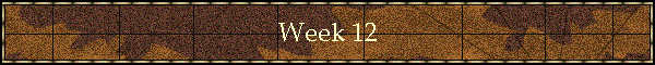 Week 12