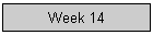 Week 14