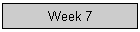 Week 7